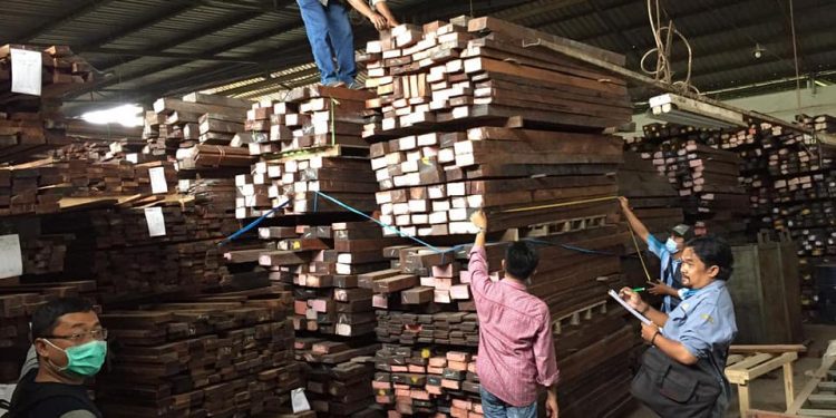 Penyidik Balai Gakkum KLHK Wilayah Jabalnusra, jumat 19 Maret 2021 menyita ribuan kubik kayu kayu merbau di pelabuhan Tanjung Perak Surabaya. Foto : Balai Gakkum KLHK Wilayah Jabalnusra.