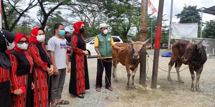 Ketua Majelis Ta'lim (MT) Nur Asiah Widya Pratiwi Murad saat menyerahkan hewan kurban menjleang Idul Adha.