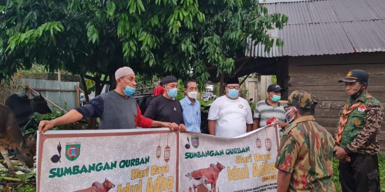Foto : Mewakili Ketua Kwarda, Widya Pratiwi Murad, Sekertaris Kwarda memberikan hewan kurban kepada tiga masjid, Senin (19/07/21).
