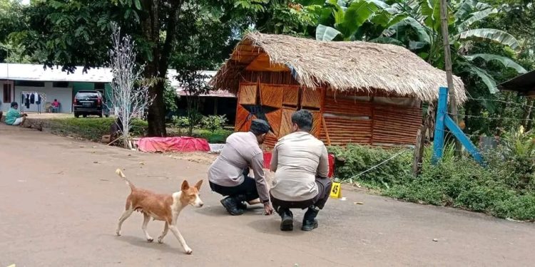 Dua orang polisi terlihat melakukan olah TKP dekat dengan rumah Jurnalis Vicktor Mambor, pada Senin (23/1/2023) dini hari di Kota Jayapura. (Foto: Istimewa)