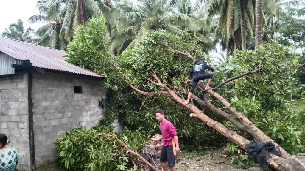 Rumah Warga Mamuju Rusak Diterjang Angin Kencang Titastory