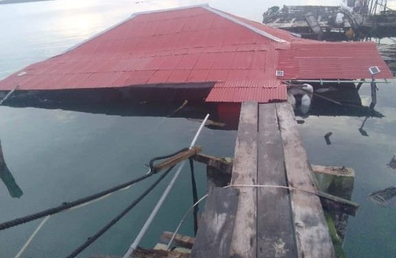 Tampak Kondisi Bangunan Perusahaan Mutiara di desa Teineman, kecamatan Wuarlabobar, Kabupaten Kepulauan Tanimbar, Maluku yang roboh setelah diguncang Gempabumi tektonik berkekuatan Magnitude 7,9