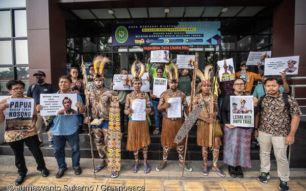 Papuan Indigenous  People from the Awyu tribe donned traditional body paint and bird of paradise headdresses before officially intervening in legal proceedings taken by two palm oil companies in the Jakarta State Administrative Court. They also visit Human Right National Comission to get support and investigation.
