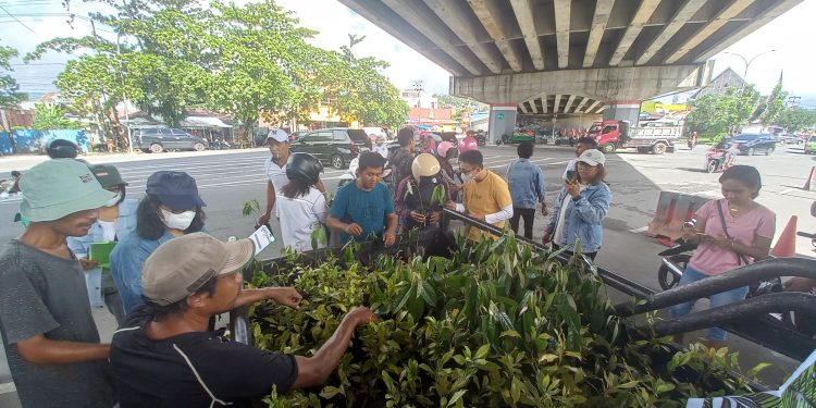 Aksi berbagi anakan pohon gratis  dalam rangka peringati hari lingkungan hidup sedunia oleh komunitas mollucas coastal care (MCC), di Ambon, Senin (5/6/2023).