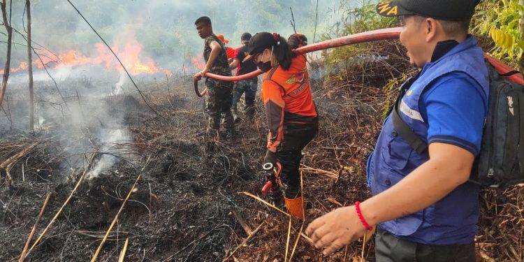 Tim Reaksi Cepat (TRC) bersama personil Posko Siaga Darurat Bencana Karhutla Kabupaten Barito Selatan terlihat melakukan pemadaman api. (Foto: BNPB)