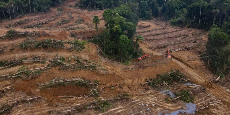 Ketgam: Pembukaan lahan mengakibatkan kerusakan hutan di Papua meningkat. (Foto: Pusaka Bentala Rakyat)