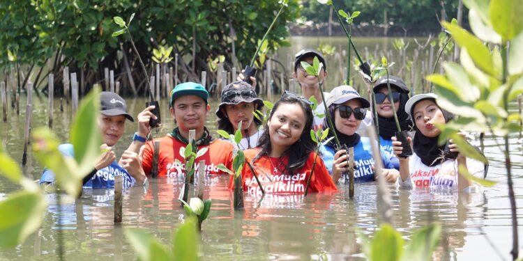 Ketgam: Aksi tanam mangrove AMJI. (Foto: Yayasan EcoNusa)