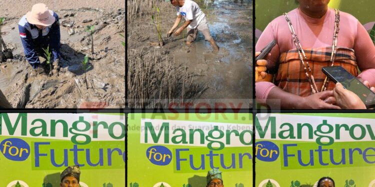 Keterangan gambar Pejuang Mangrove Nusantara, dari kiri atas ke kanan: Rudi Hartono, pemuda asal Sukupah, Kalimantan Bara, Yudi Amsoni, sosok pejuang lingkungan dari desa kecil Sukamandi, Belitung Timur, dan 
Loesye Fainno, Kelompok Perempuan Tani Hutan Mangrove Kawan Pesisir di Papua Barat (Foto: Christ)