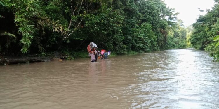 Keterangan gambar: Seorang Petugas POlisi dibantu oleh warga sedang mebawa logistik logistik PIlkada melewati sungai menuju pegunungan Dusun Silumena, Desa Manusela, Kecamatan Seram Utara. (Foto: Humas Polda Maluku)