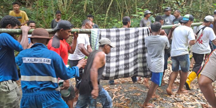 Keterangan gambar: Setelah ditemukan di dalam hutan, Ahmad Marasabessy, warga Desa Negeri Sepa, Kecamatan Seram Utara, Kabupaten Maluku Tengah langsung digotong oleh Warga dan tim gabungan SAR. (Foto: Humas Kantor SAR Ambon)