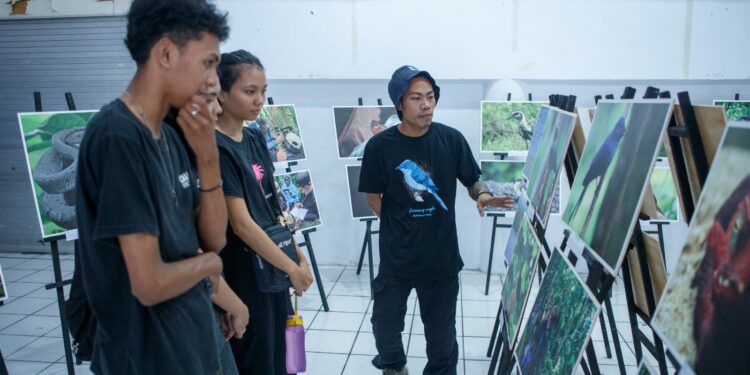 Keterangan gambar: Pameran foto burung yang menjadi kekayaan biodiversitas Sangihe, 20 Desember 2024. (Sumber: Stenley Pontolawokang/Greenpeace)