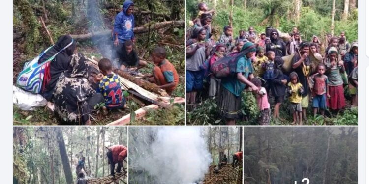 Keterangan gambar: Foto-foto Suasana masyarakat sipil yang mengungsi di Pegunungan Bintang 10 Desember 2024. (Sumber: Andi Gym)